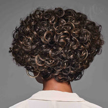 Load image into Gallery viewer, Tierra Wig - Kim Kimble Collection