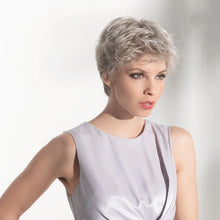Load image into Gallery viewer, Posh Luxury Wig - Ellen Wille Hair Society
