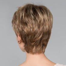 Load image into Gallery viewer, Fair Wig - Ellen Wille HairPower Collection